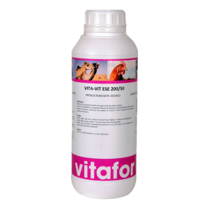 VITA-VIT ESE 250