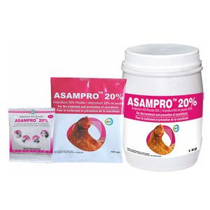 ASHISH- ASAMPRO 20%@25g