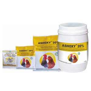 ASHISH-ASHOXY 20% 100g