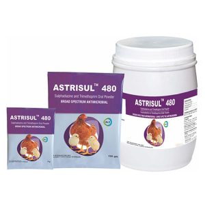 ASHISH-ASTRISUL 480 @100g