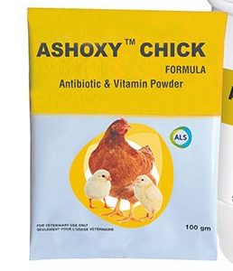 ASHISH-ASHOXY CHICK 100g