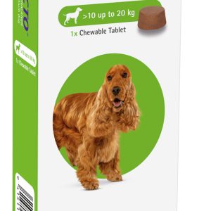 BRAV CHEW MEDIUM BREED 500mgTab
