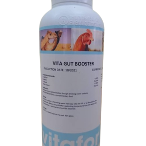 VITAFOR-GUT BOOSTER 1L