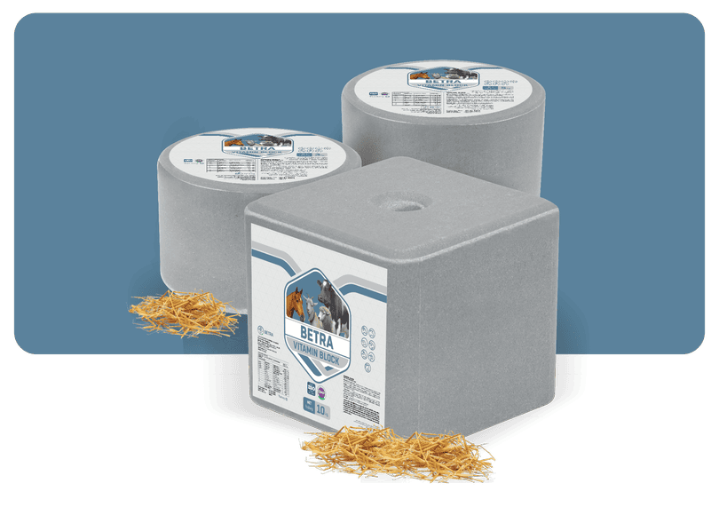 Betra Mineral Block @2kg