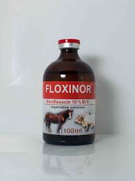 FLOXINOR 100 ML INJECTABLE